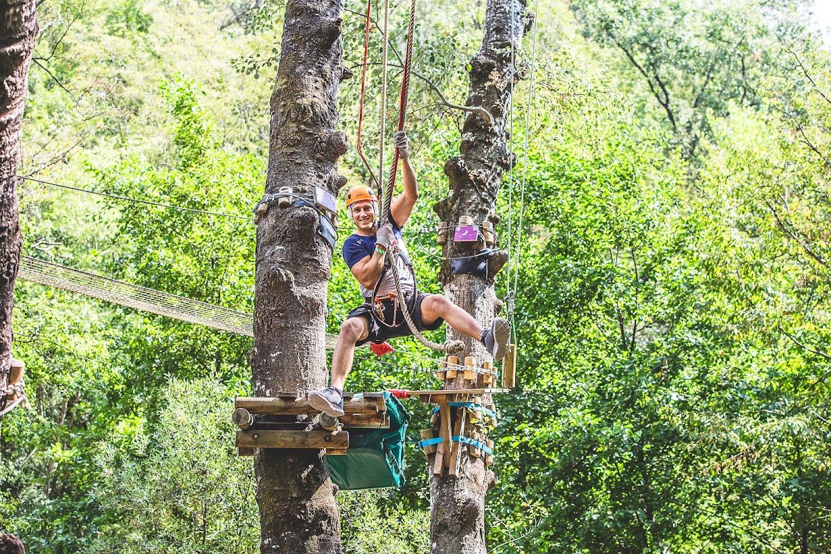 Canyon Forest — photo 3