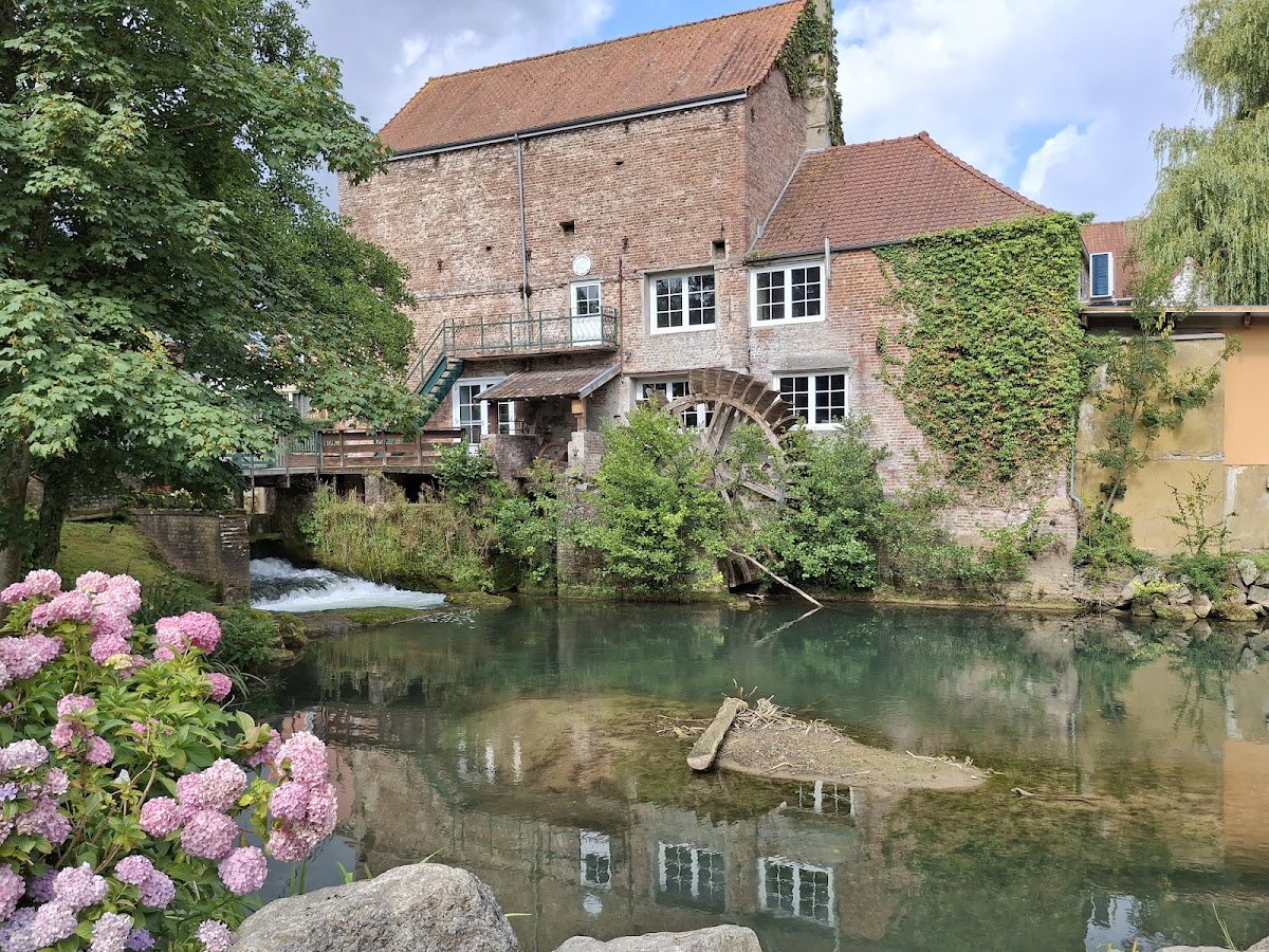 Dennlys Parc — photo 4