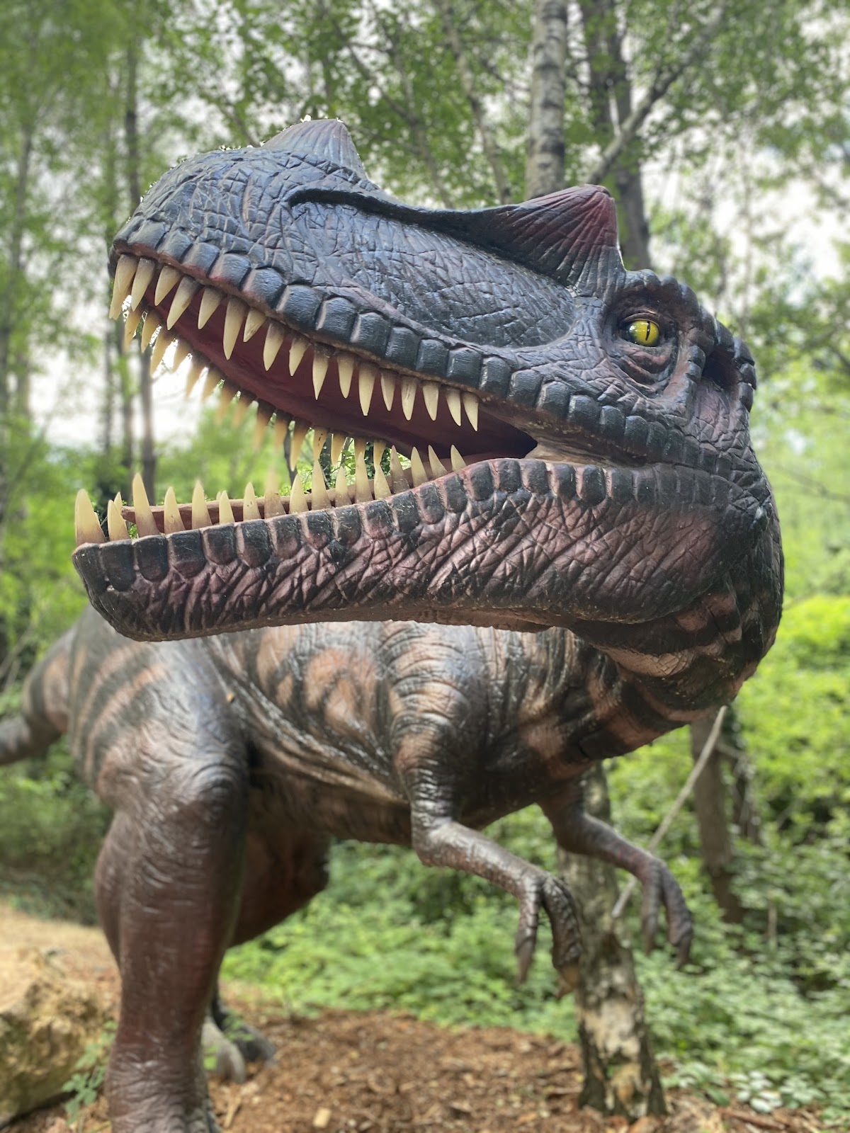 Dinopedia Parc — 3