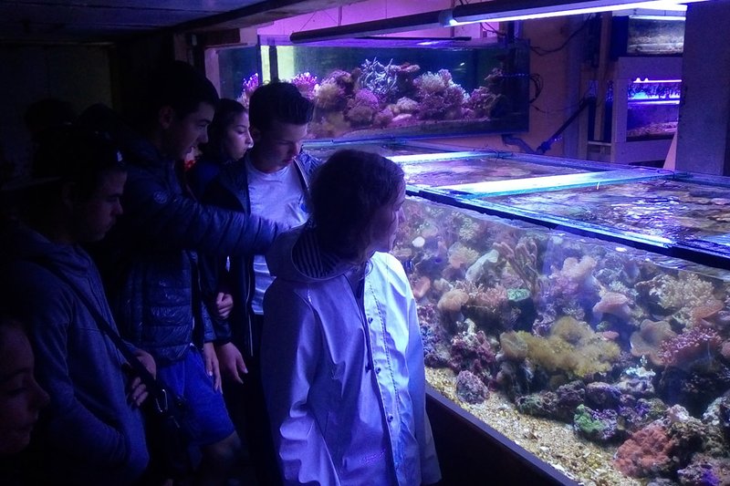 La Ferme Corail — 2