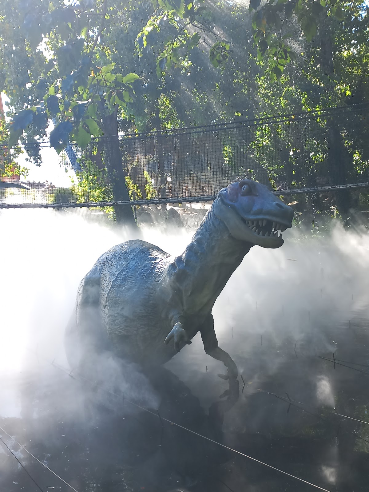 Festyland — photo 2