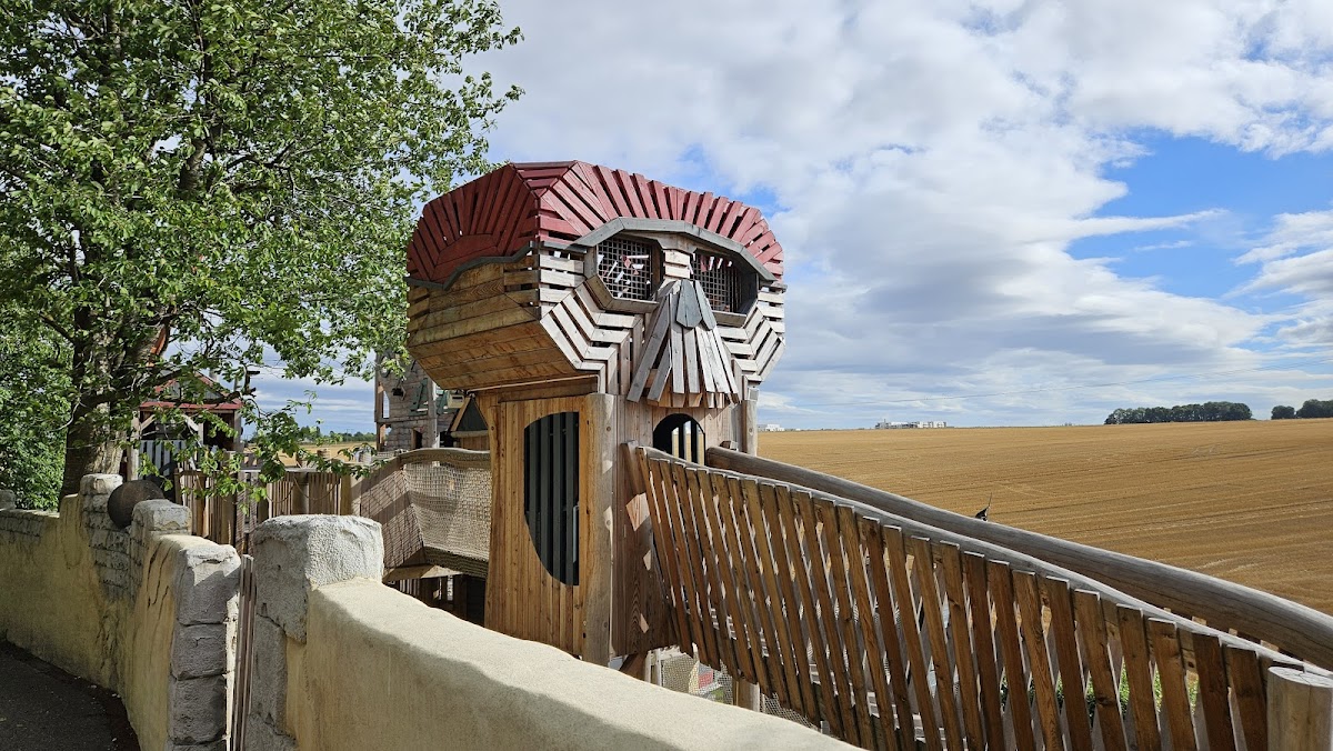 Festyland — photo 3