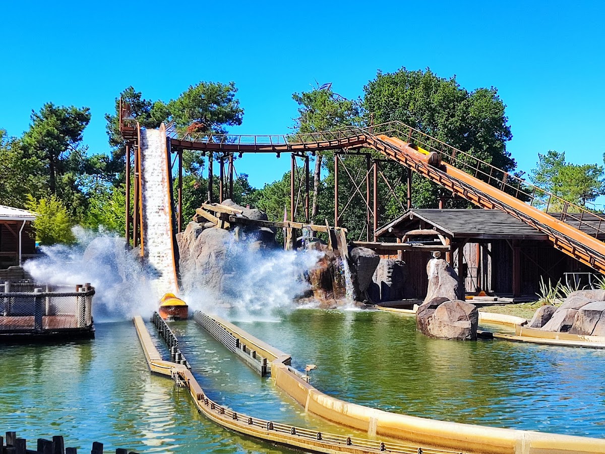 La Coccinelle — photo 2