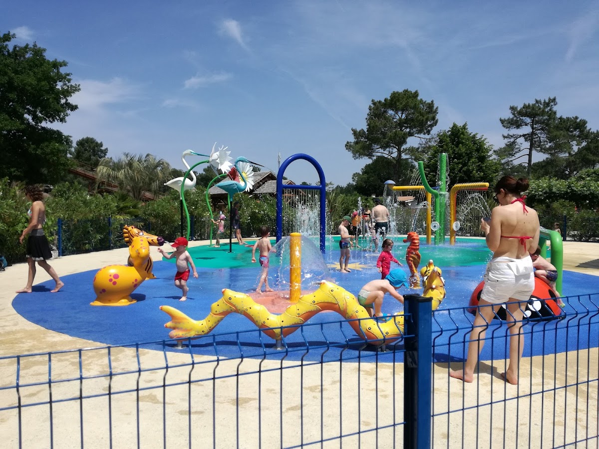 La Coccinelle — photo 4