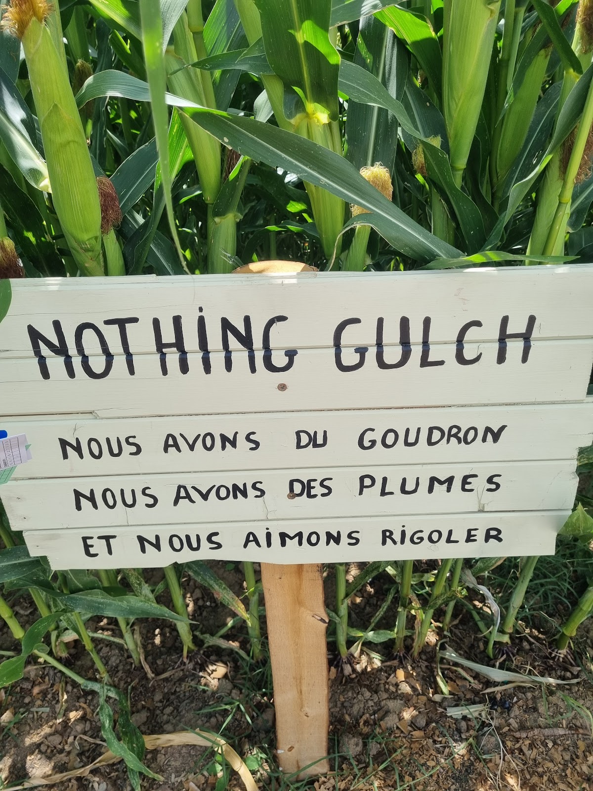 Labyrinthe de Beaugency — photo 3