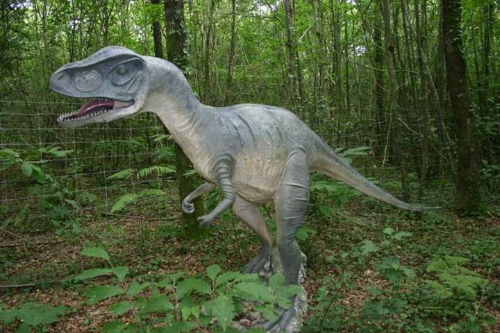 Le Château des aventuriers — 2