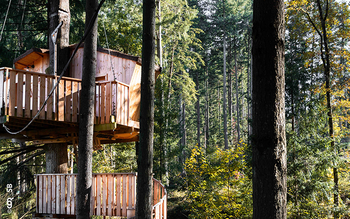 Les Perchés — photo 3