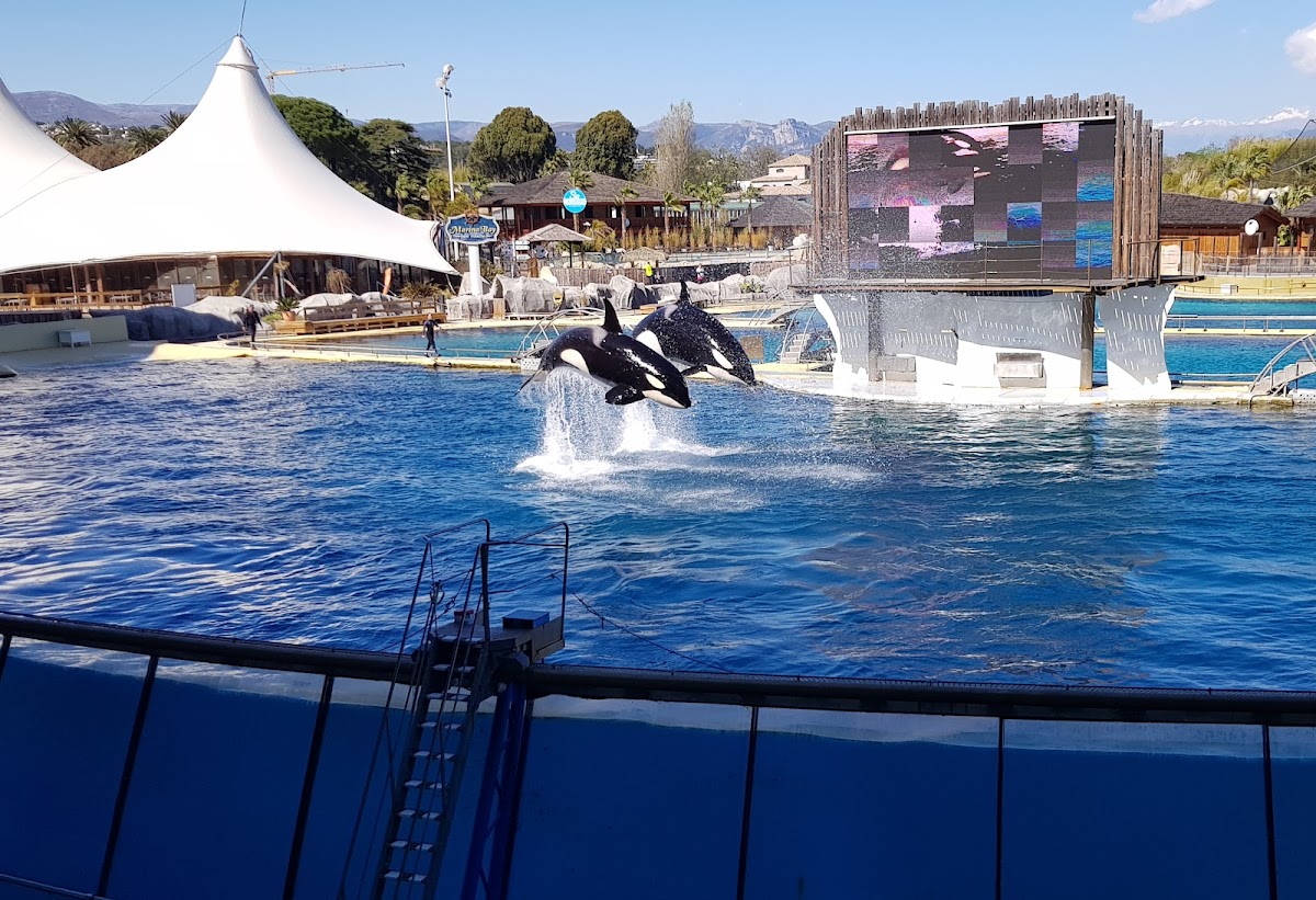 Marineland d'Antibes — photo 2