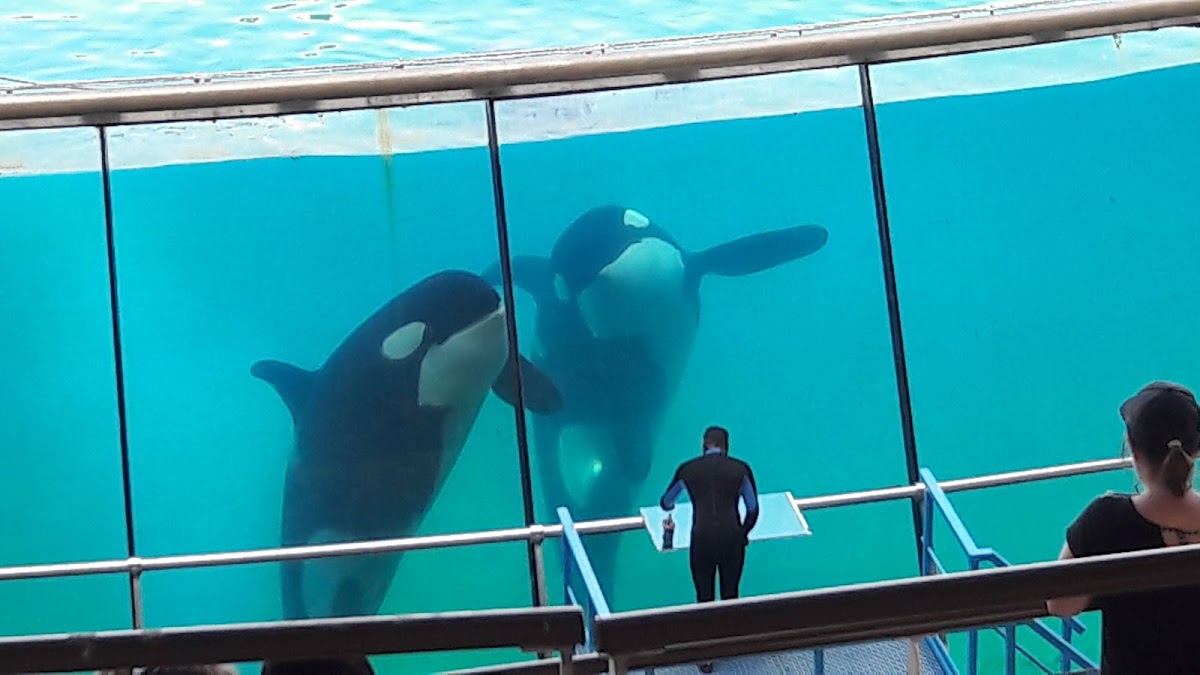Marineland d'Antibes — photo 3