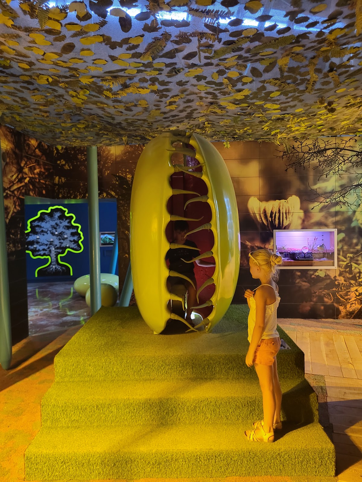 Micropolis, la cité des insectes — photo 2