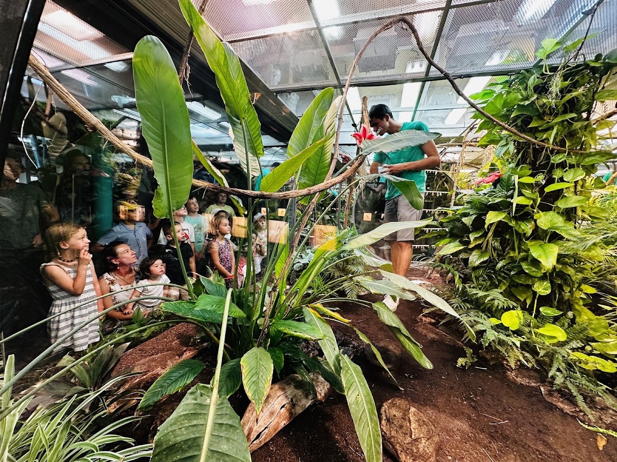 Micropolis, la cité des insectes — photo 4