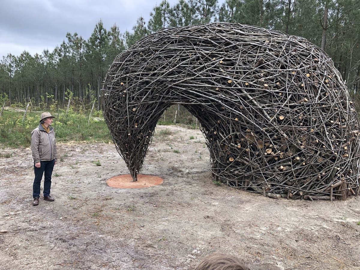 Mysterra — photo 3