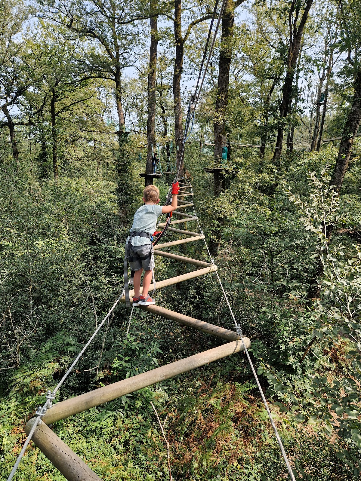 O'Gliss Park — photo 4