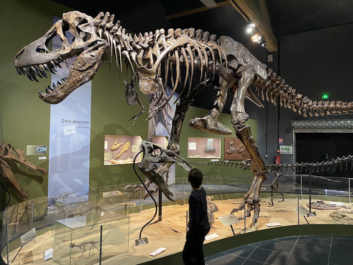 Paléopolis / La Colline aux Dinosaures — photo 2