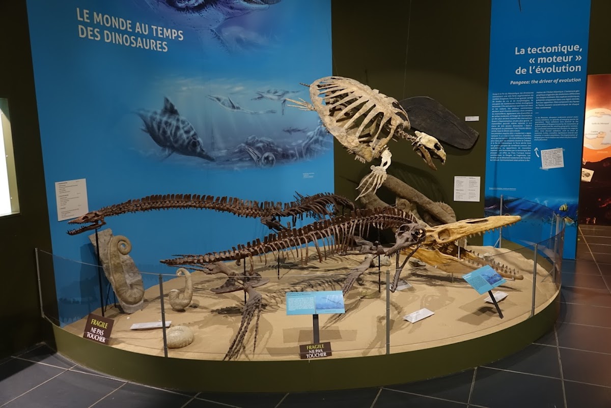 Paléopolis / La Colline aux Dinosaures — photo 4