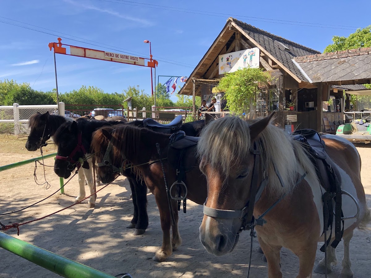 Parc de la Mignardière — 2