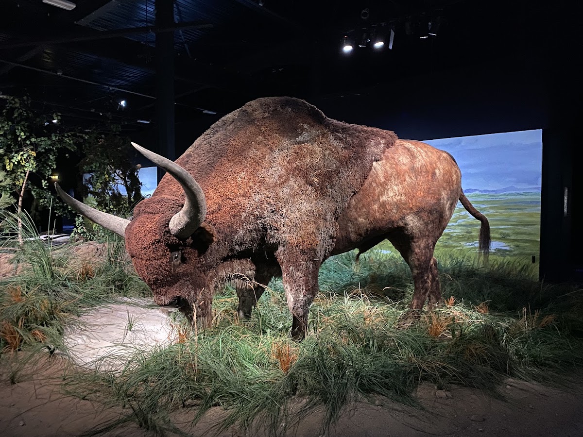 Parc de la Préhistoire — photo 2