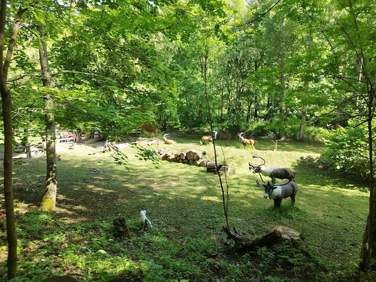 Parc de la Préhistoire — photo 4