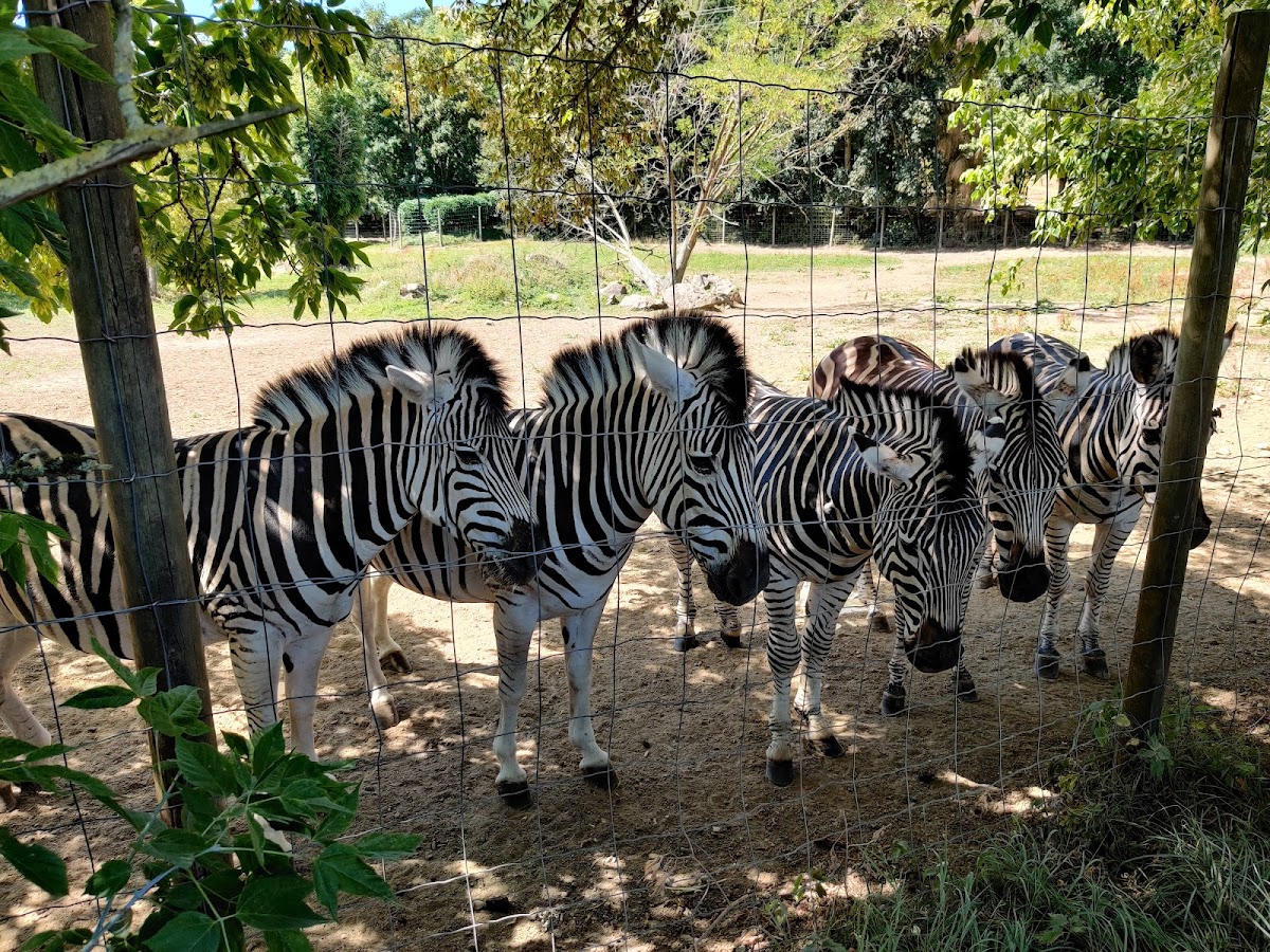Parc de l'Auxois — photo 2