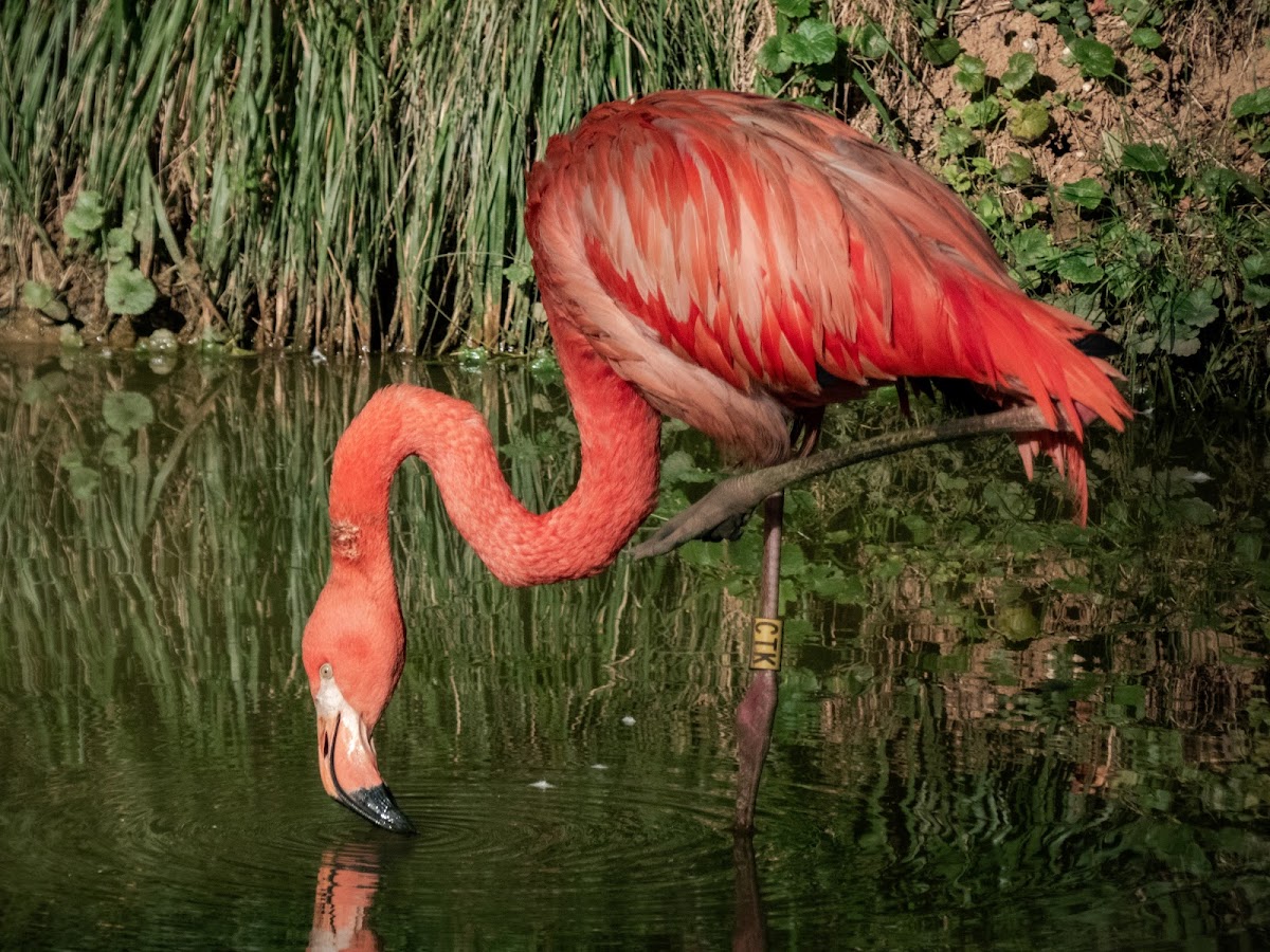Parc de l'Auxois — photo 3