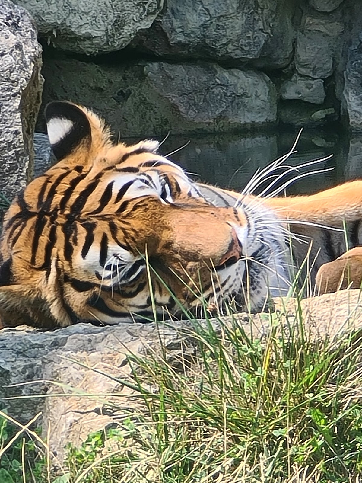 Parc de l'Auxois — photo 4