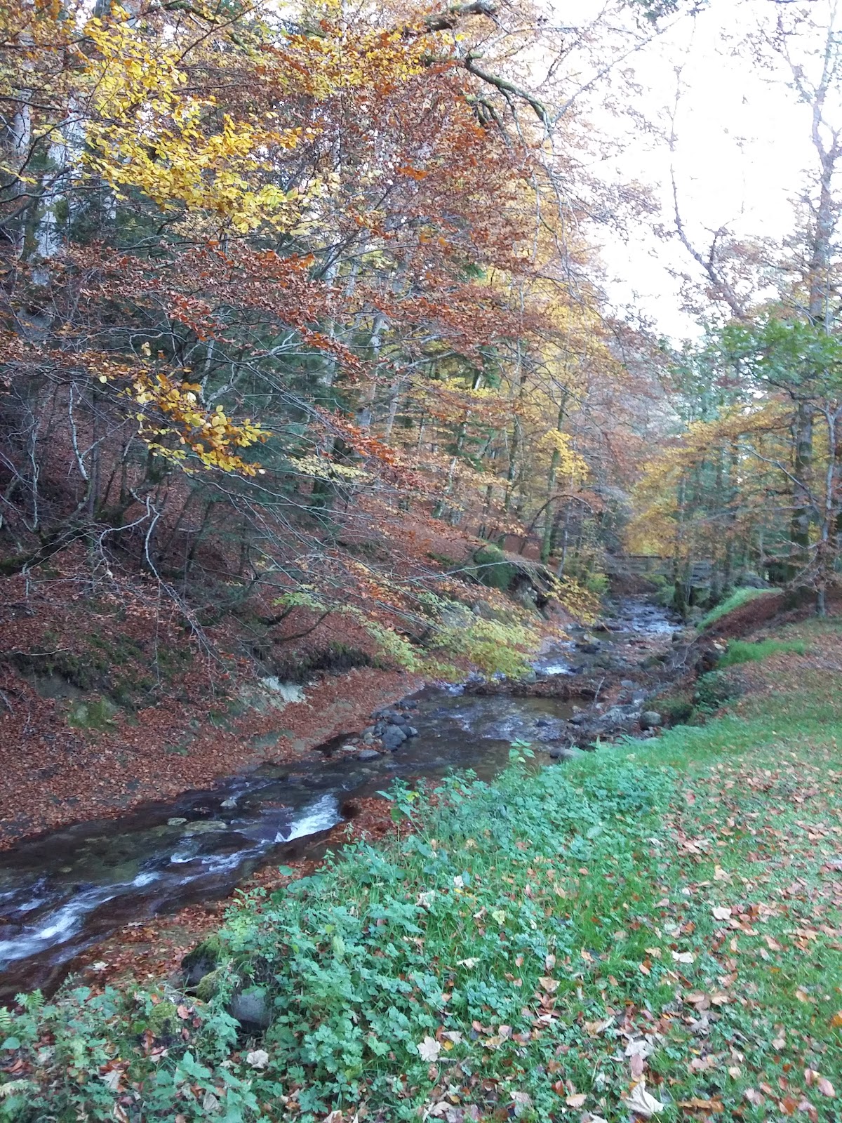 Parc Fenestre — photo 2