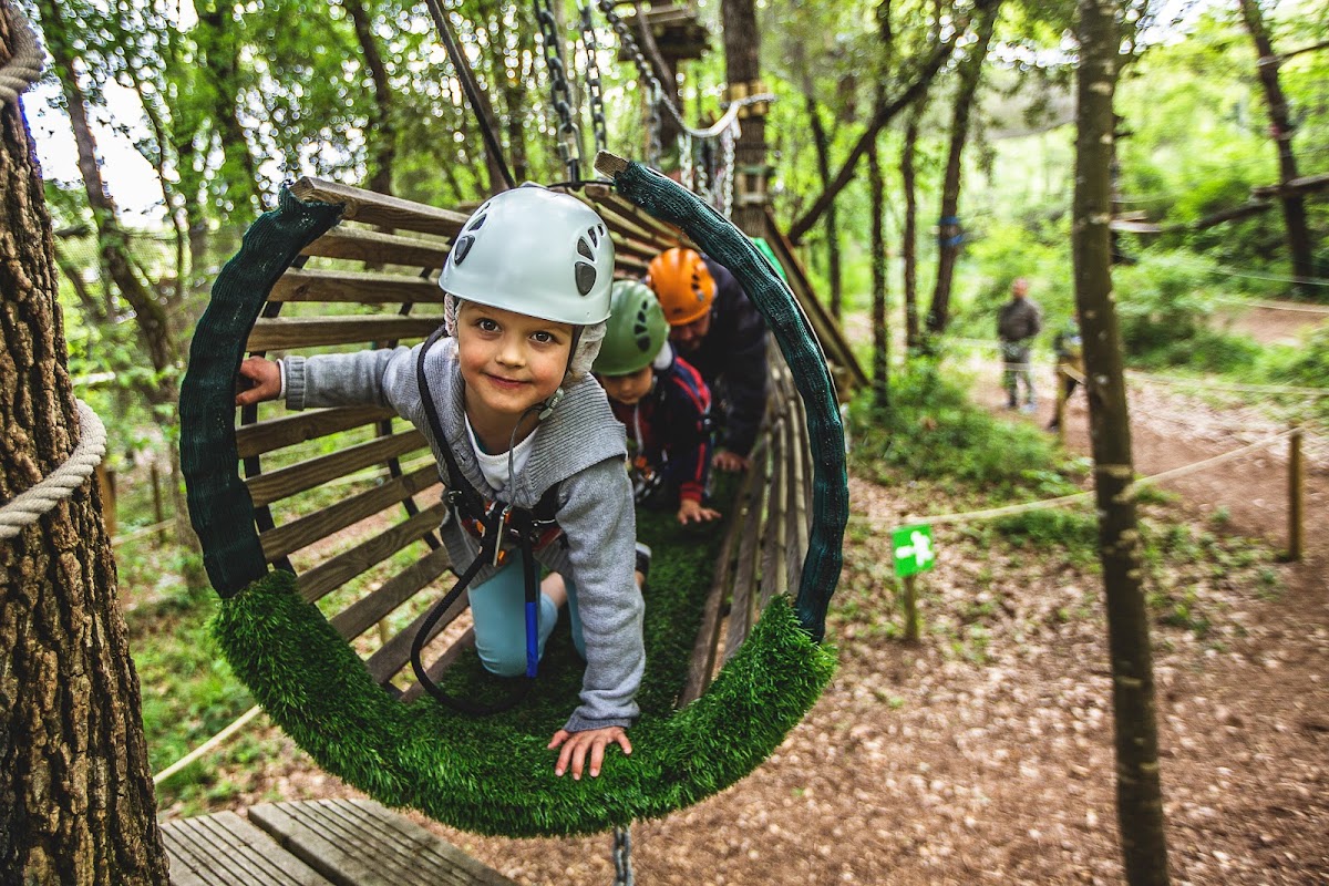 Pitchoun Forest — 3