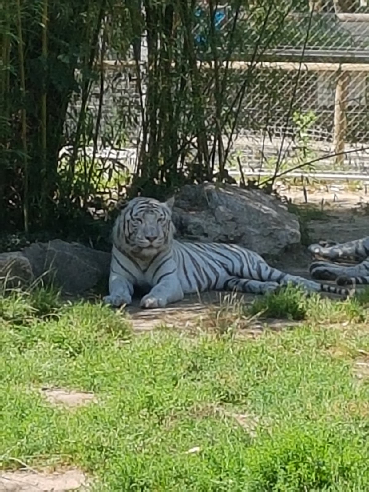 Touroparc Zoo — photo 3