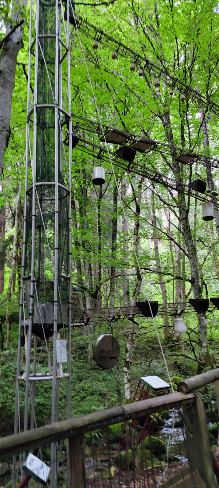 Vallon du Villaret — photo 4