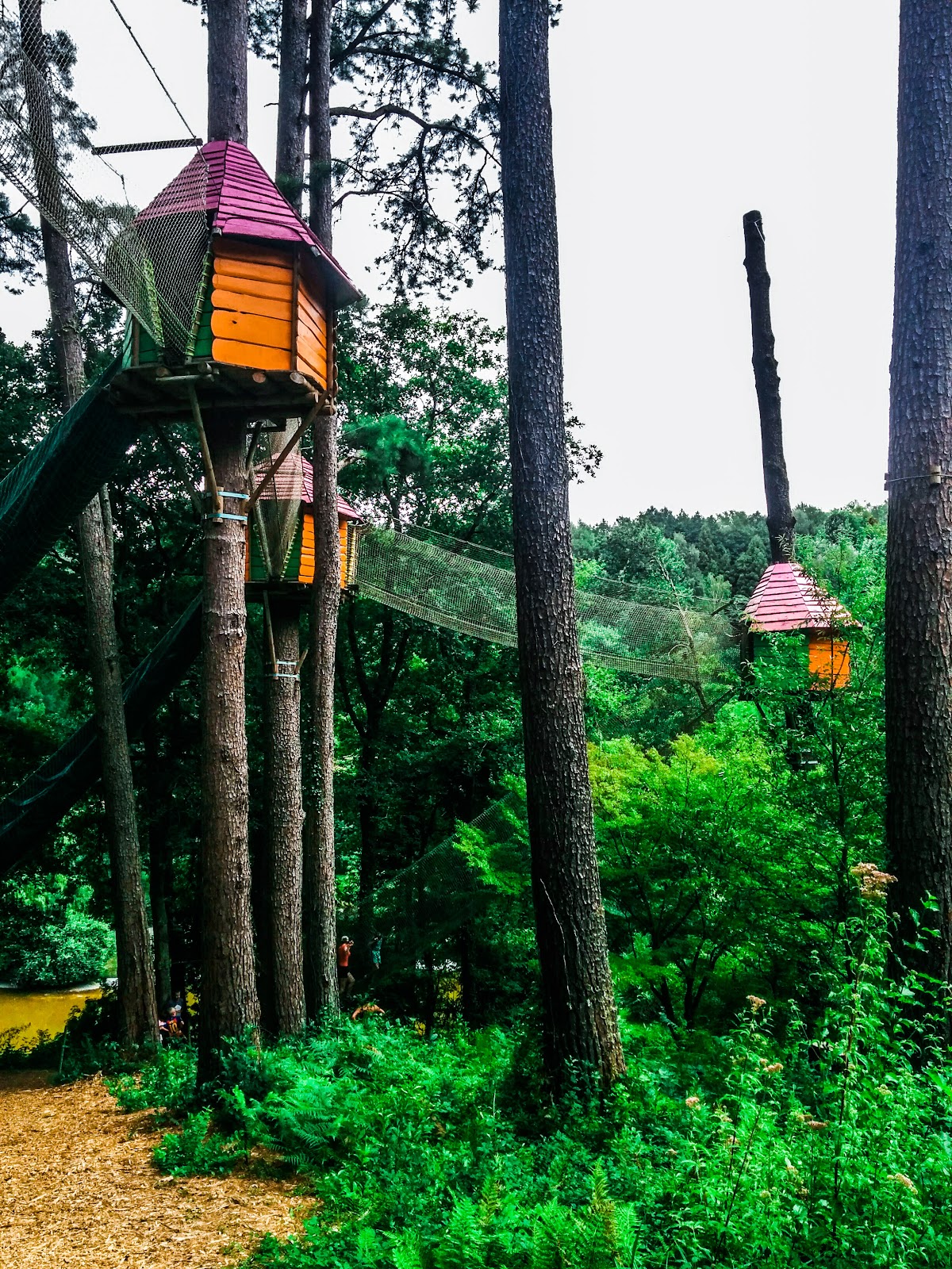 Wow Park — photo 2